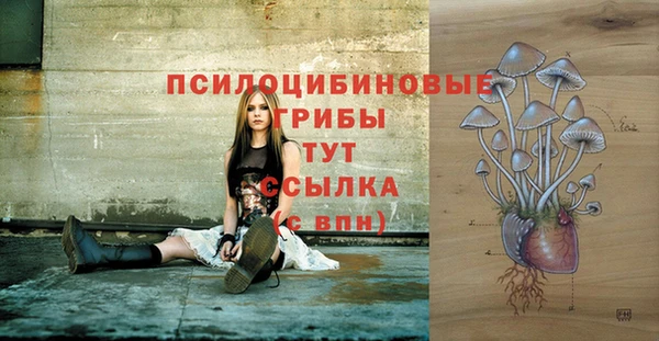дмт Баксан