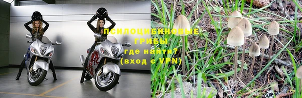 прущие крисы Балахна
