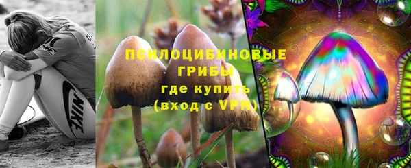 прущие крисы Балахна